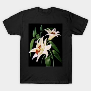 Lillies 99 - Oil painting by Avril Thomas - Adelaide / South Australia Artist T-Shirt